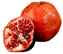 Galante Pomegranate